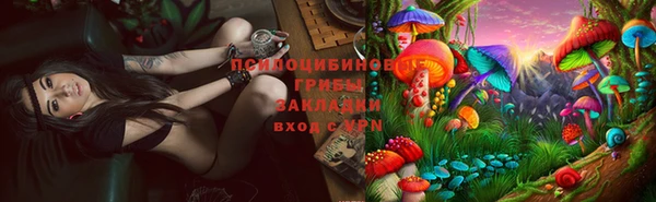 прущий лед Козловка