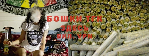 ГАЛЛЮЦИНОГЕННЫЕ ГРИБЫ Абаза