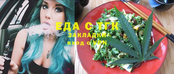 стаф Инта